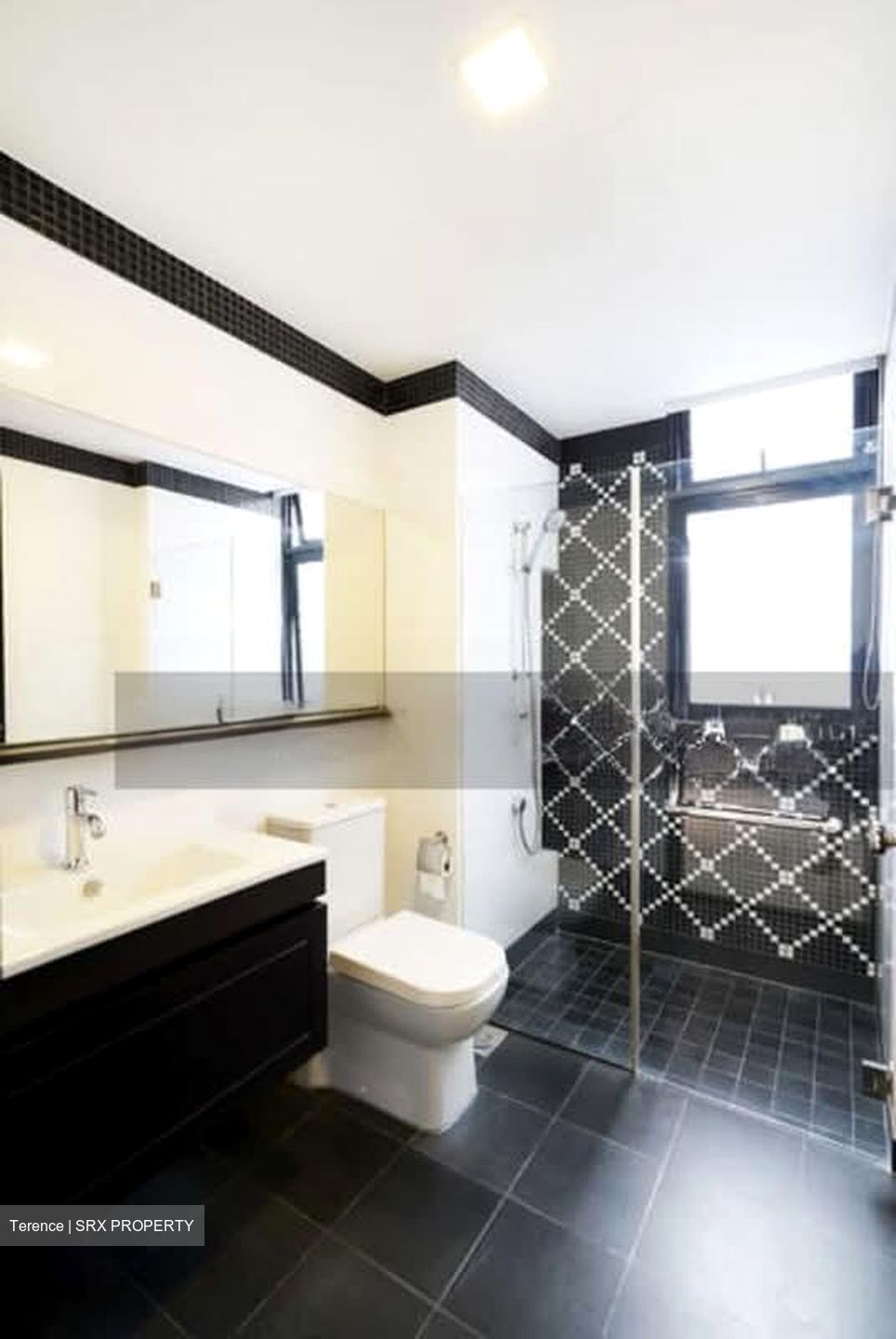 1919 (D9), Apartment #533965471